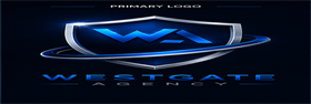 Custom Logo